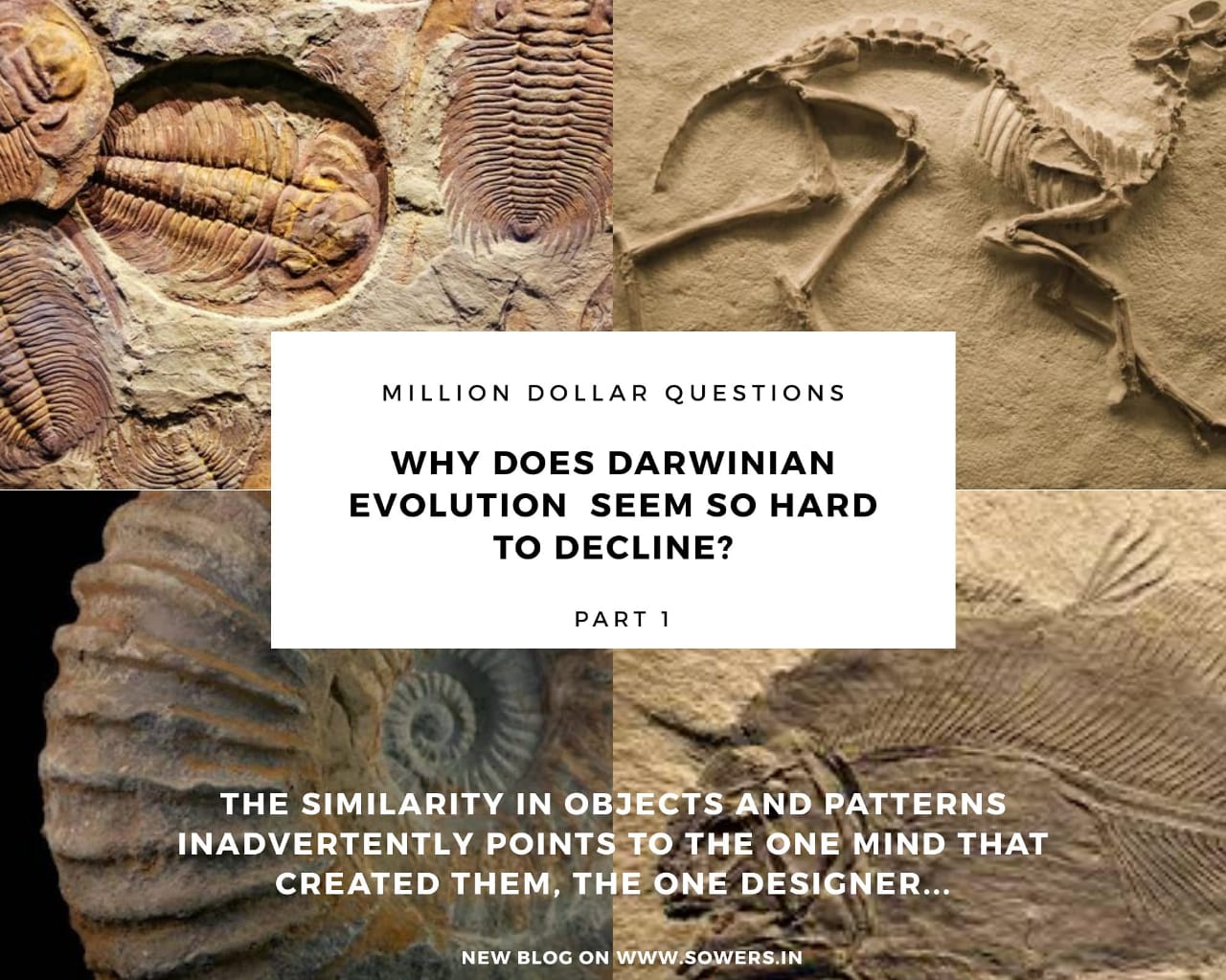 difference-between-lamarckism-and-darwinism-differencebetween